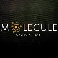 Molecule logo